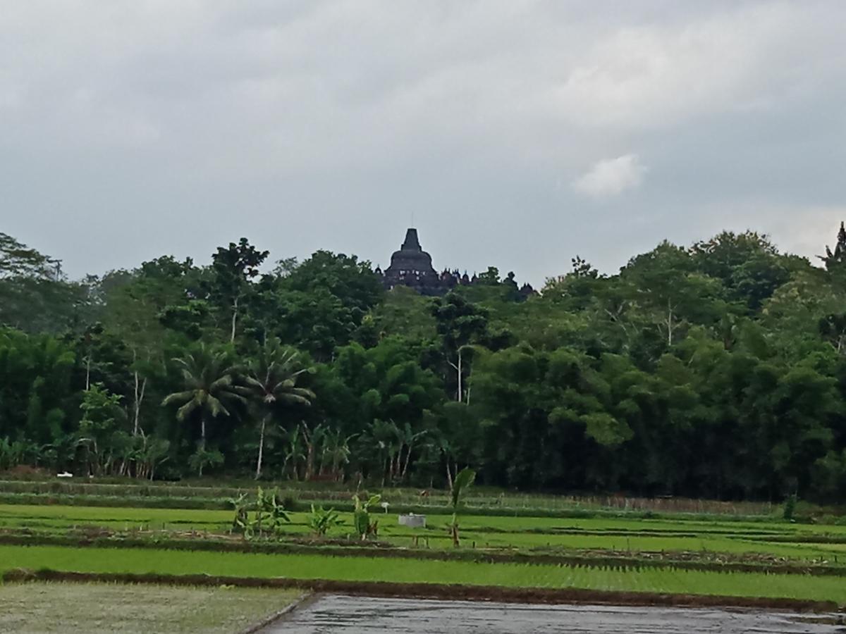 Penginapan & Guest House Mbok Dhe Borobudur Magelang Luaran gambar